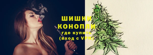 тгк Вяземский