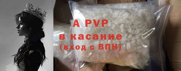 тгк Вяземский
