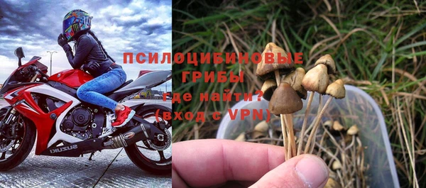 ALPHA PVP Волосово
