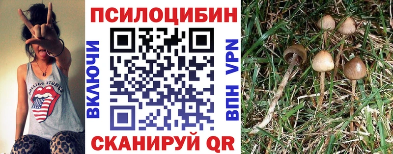 купить закладку  ОМГ ОМГ ONION  Псилоцибиновые грибы ЛСД  Горбатов 